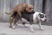 63204f9f_87e5_c8e9.gif