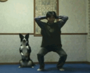 dogsitt22.gif