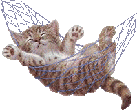 sleepingkitty.gif