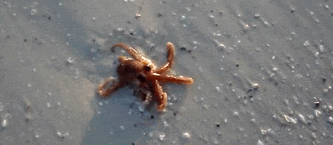 b2c4d2583b1bf844d7eb025390e01193.gif