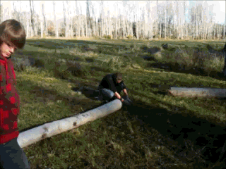 b5b8f78525e974df7bbd50b260e88e2b.gif