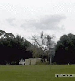 1307031932_pogo_stick_nutshot.gif