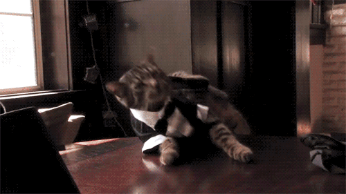 7a9c5b_2187946.gif
