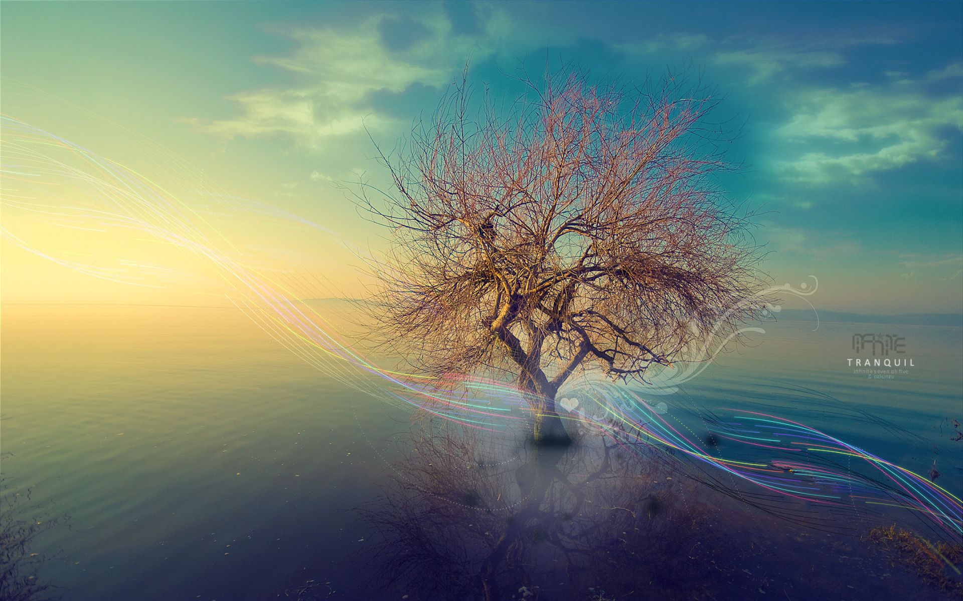 by JackInBlack (65).jpg