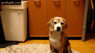 003.gif