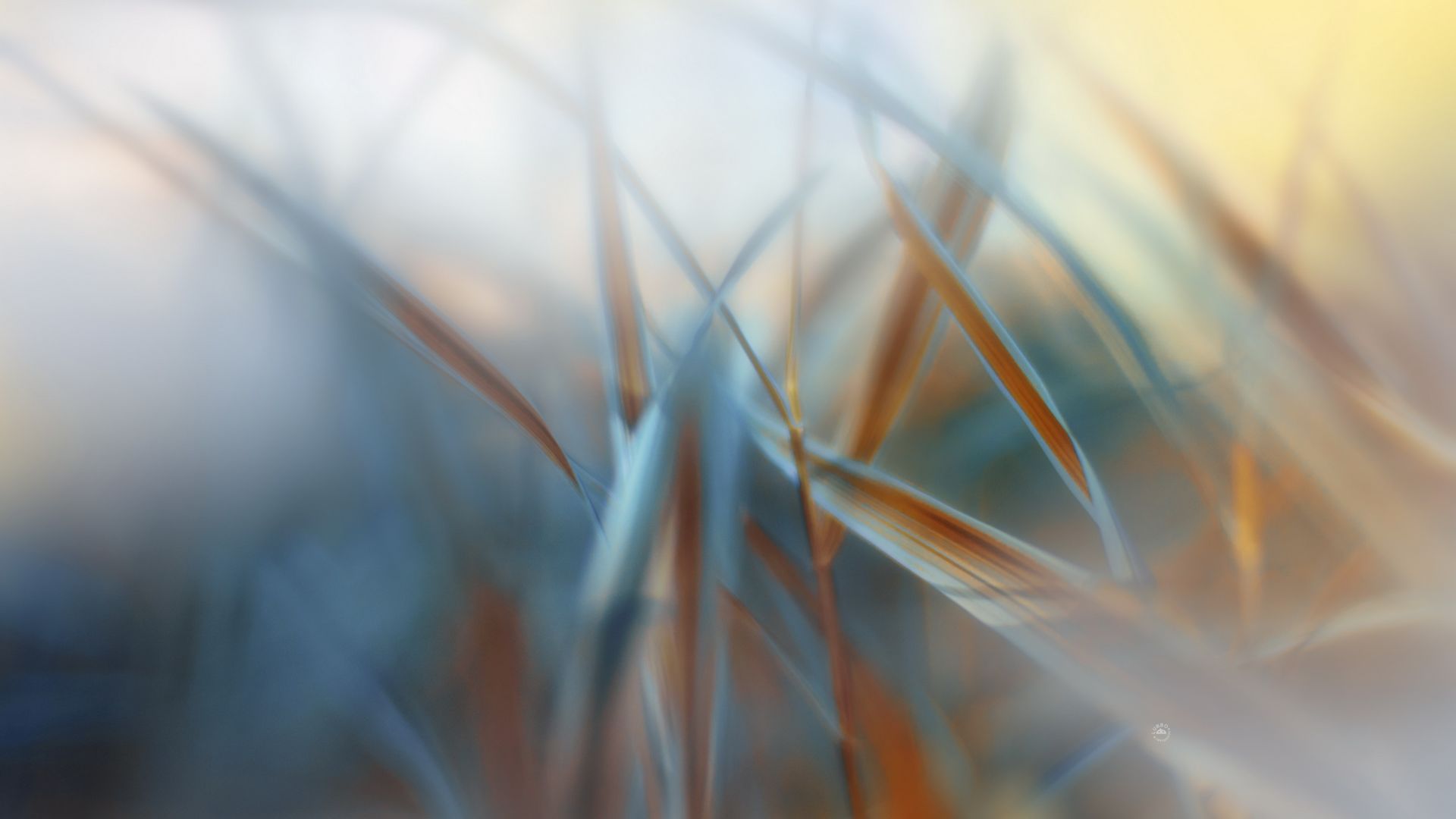 pastel_nature_by_lubbo-d48q0dv.jpg