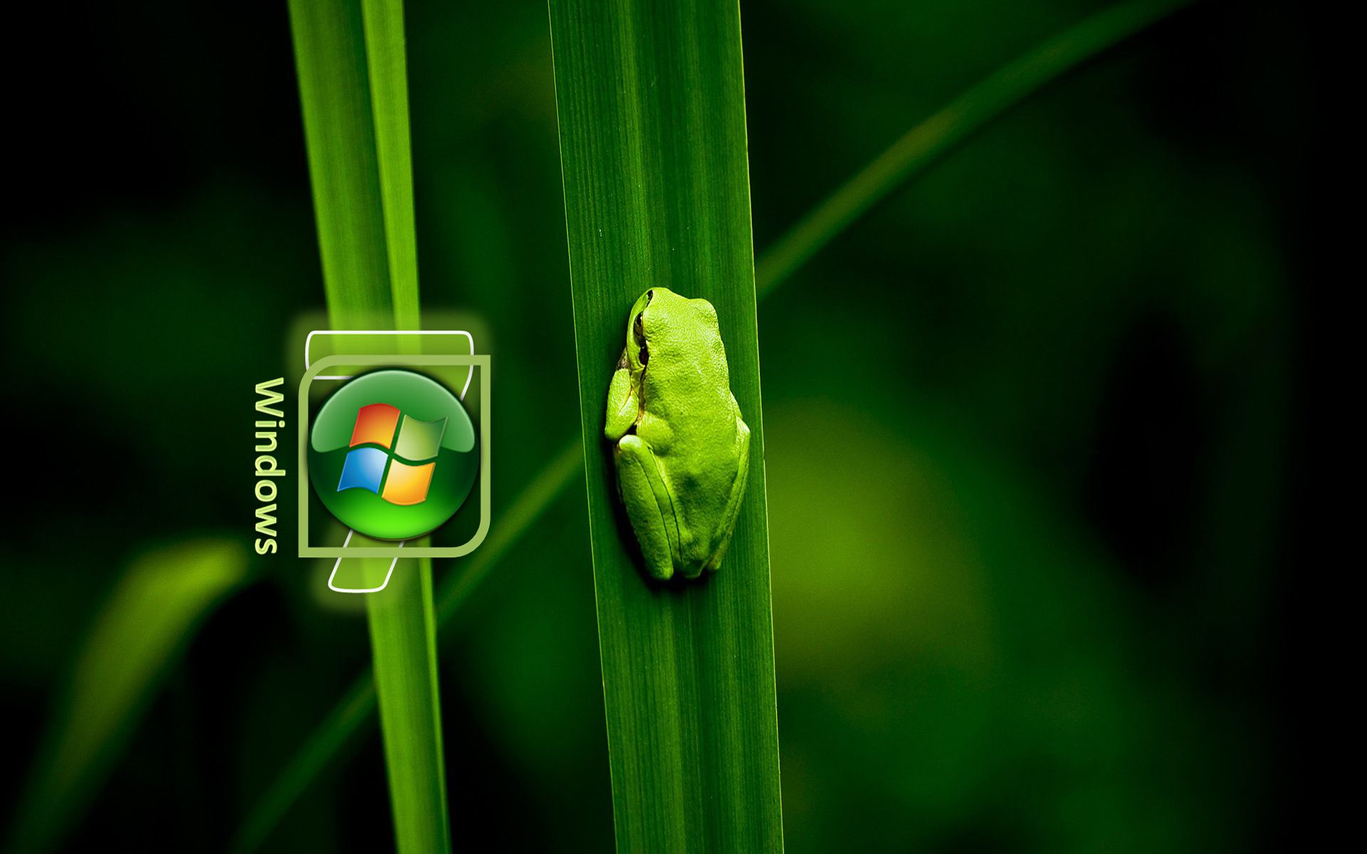 windoes_7_greens_wallpaper_by_kubines-d49615r.jpg