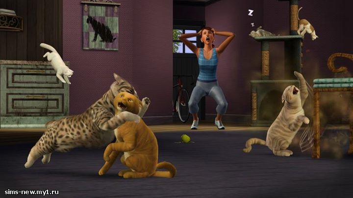 the-sims-3-pets_20110919_1651117343.jpg