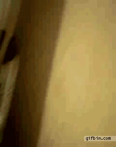 1318359843_ninja_rat.gif