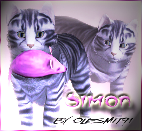 Simon.jpg
