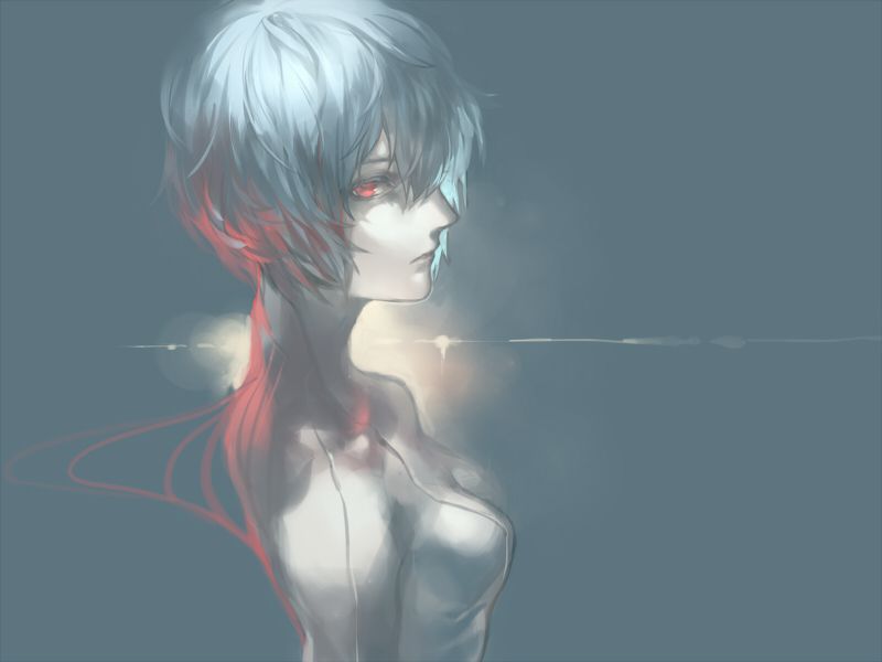 554849.jpg