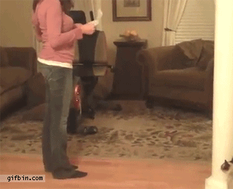 1326398404_cat_steals_note.gif