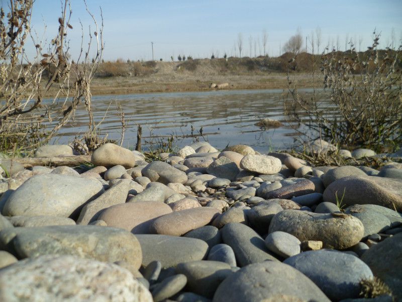 P1040285.JPG