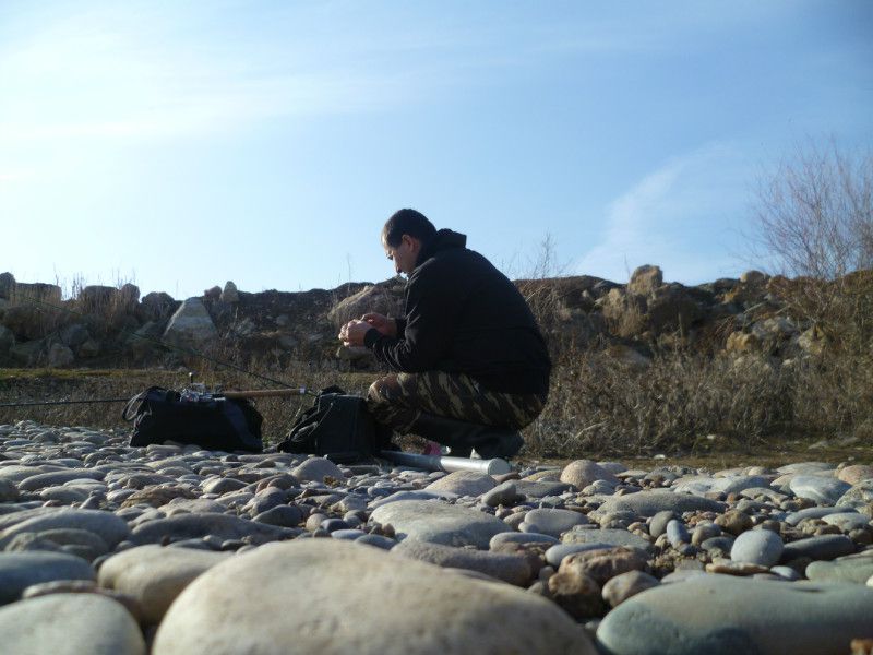 P1040286.JPG