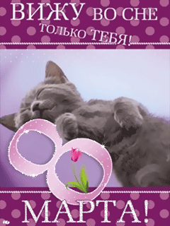 Спокойной ночи с котиками