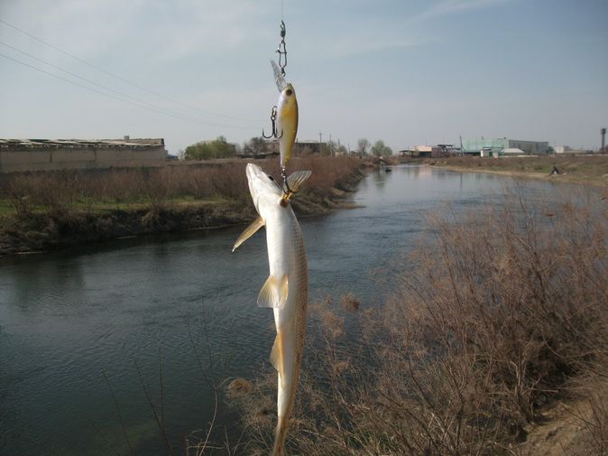 DSCF3887_новый размер.JPG