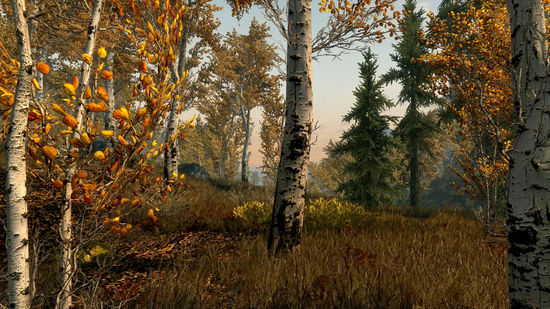 TESV 2012-04-28 00-38-10-26.jpg