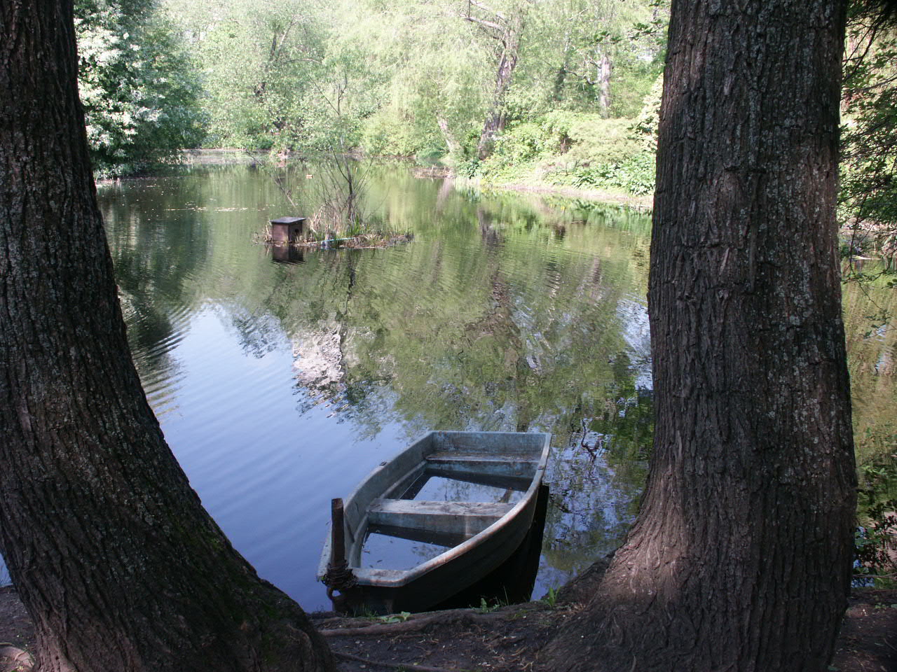 Лодка на пруду