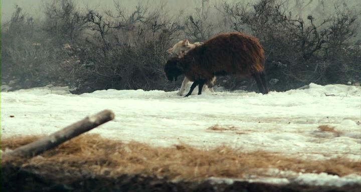 Shal_2012_DVDRip.avi_004326120.jpg