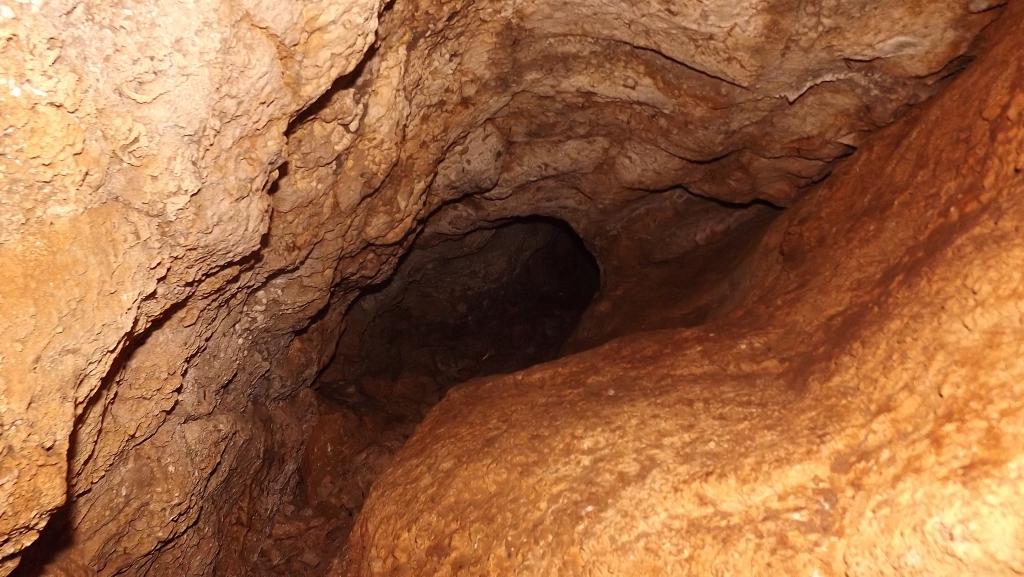 DSCF7329.JPG