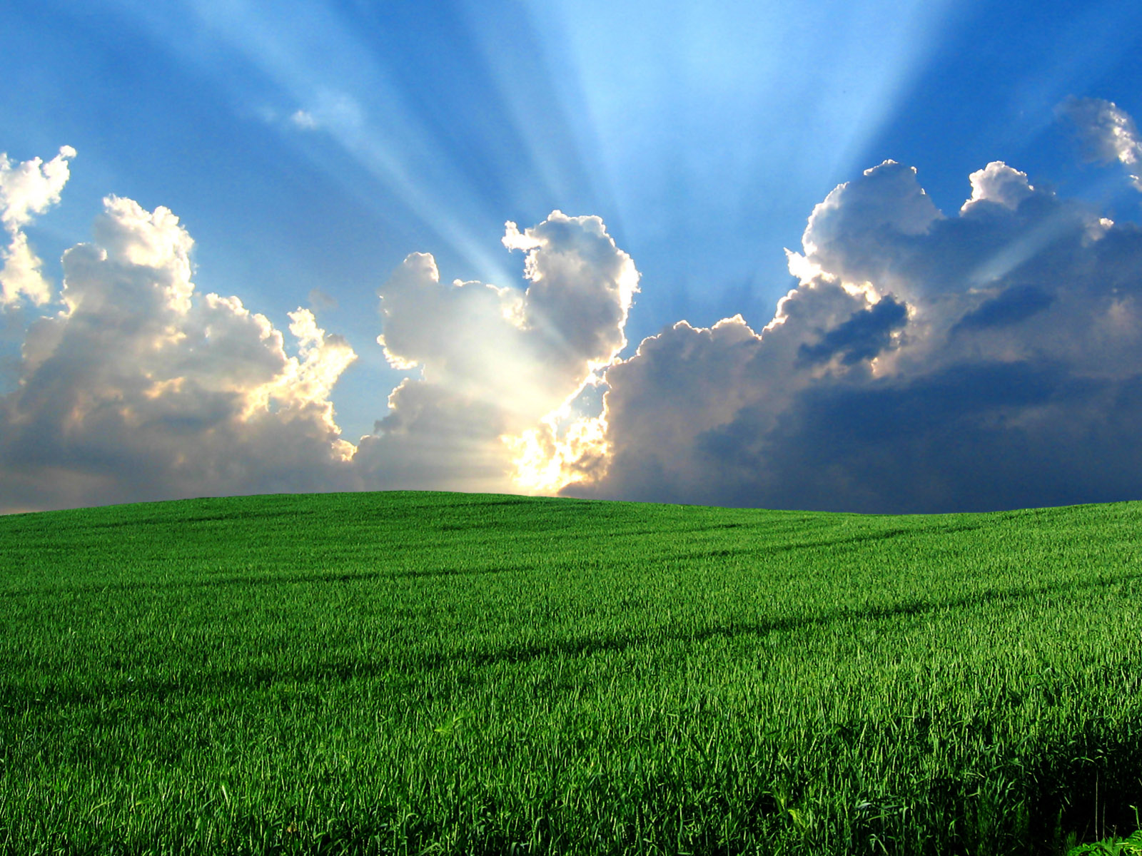 Windows-bliss.jpg