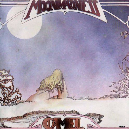 Camel(1976).jpg