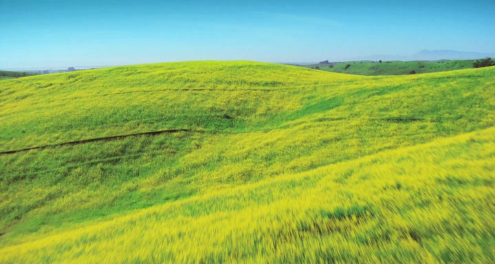 Hidden Beauty. A Love Story That Feeds the Earth[(100280)12-41-17].PNG