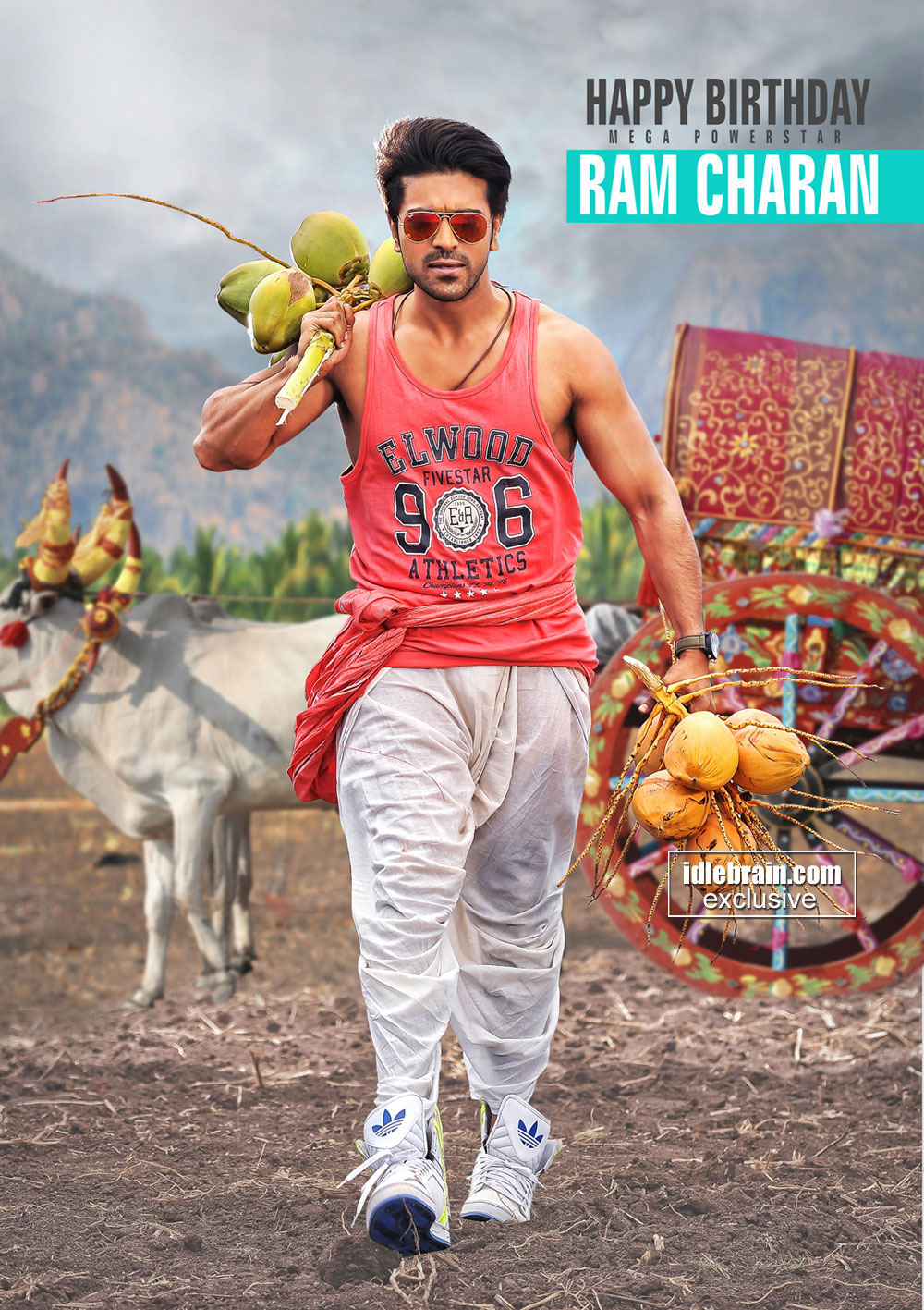 birthday2014-ramcharan1.jpg
