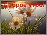 565287374.gif