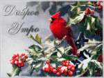 13220238.gif