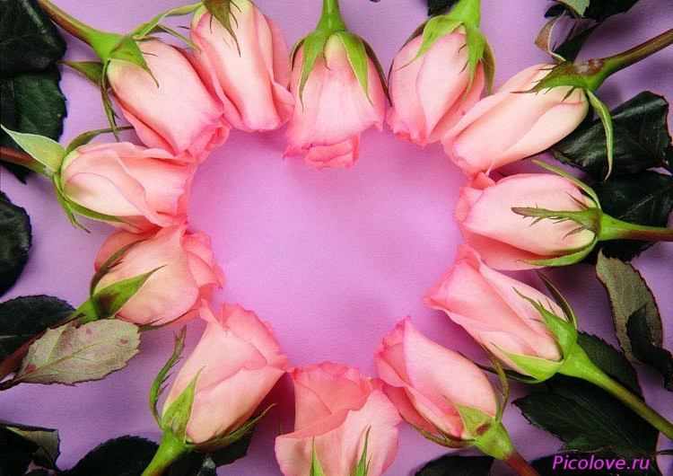 resized_original_love_528_1_.jpg