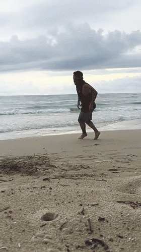 02.gif