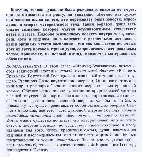 Брахман 600.jpg