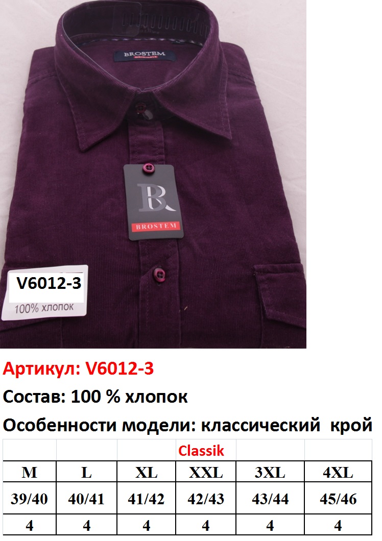 v6012-3.JPG