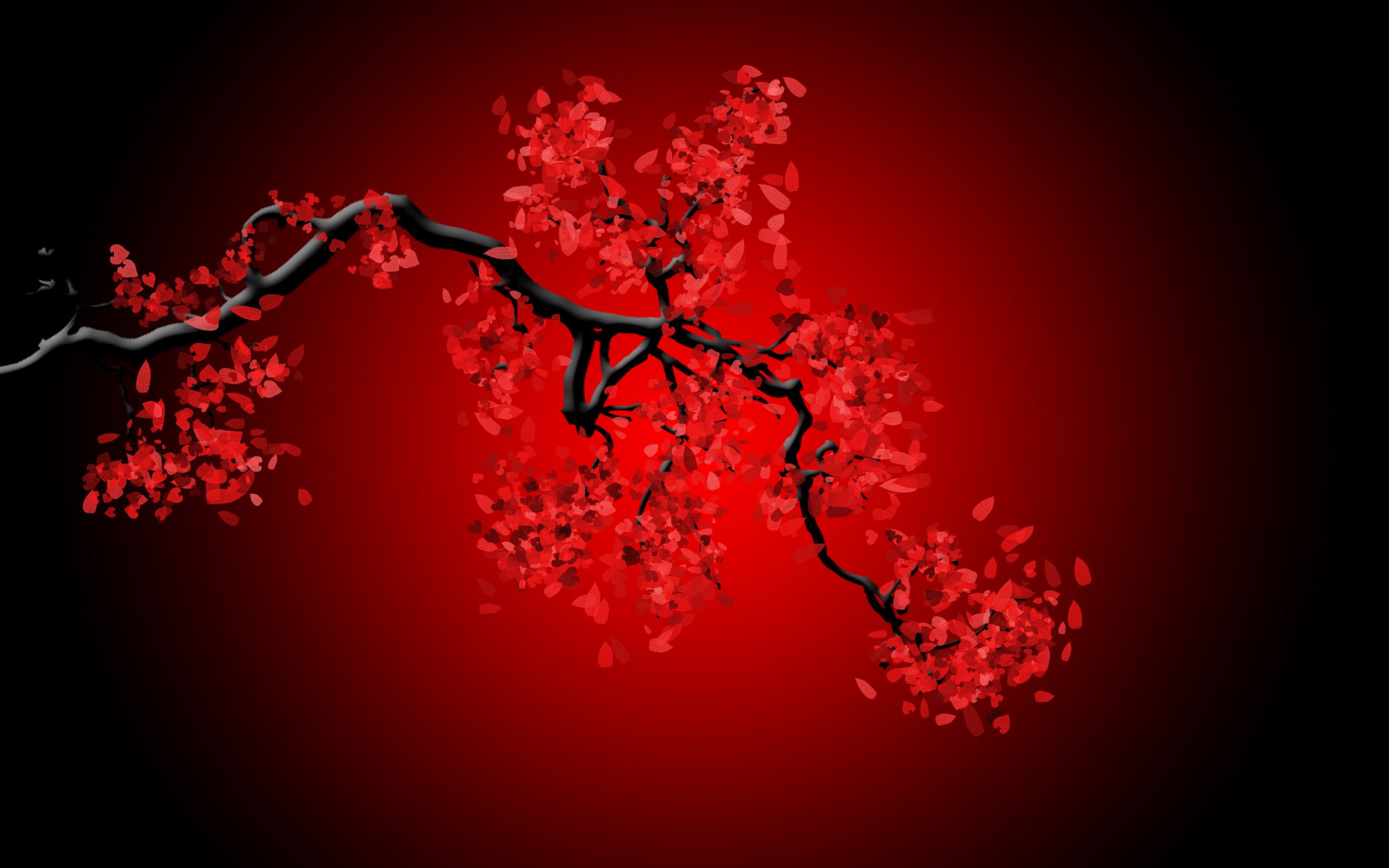 red-flower-backgrounds-2560x1600.jpg