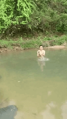 123.gif
