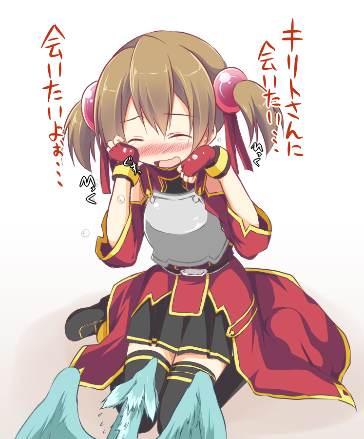 Anime-SAO-Pina-Silica-1393406.jpeg