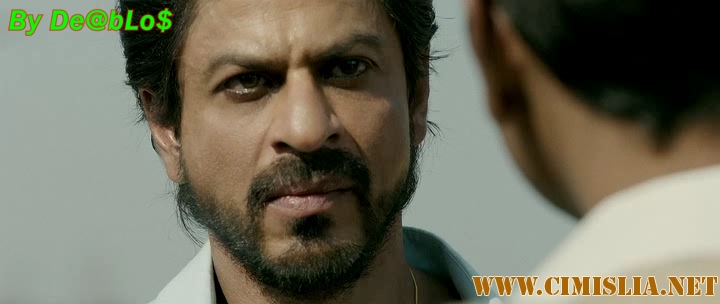 Раиз / Богатей / Raees [2017 / HDRip]