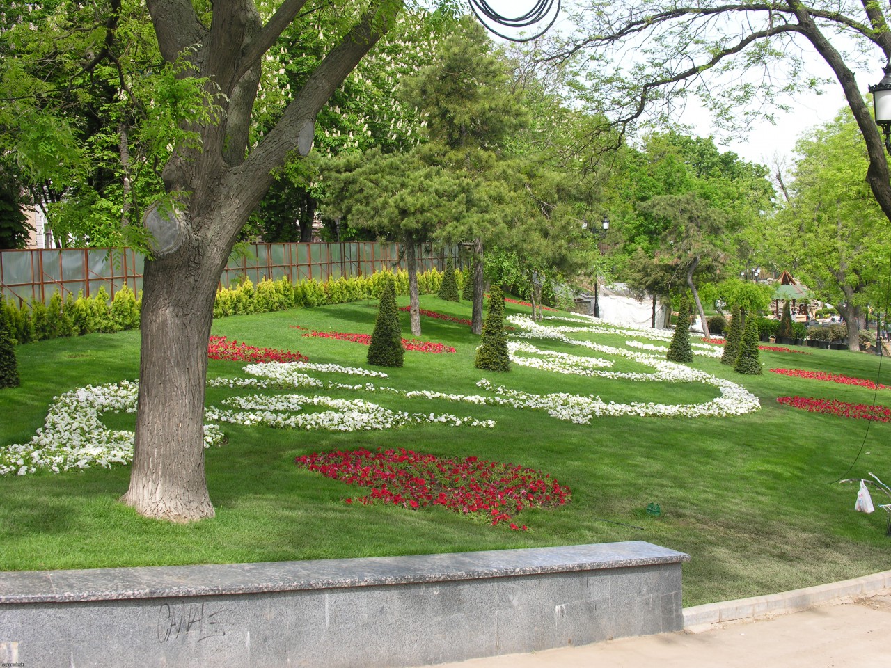 стамбульский парк