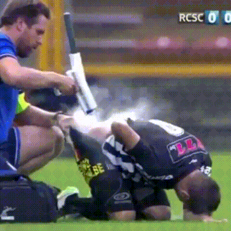 197ba37a61bad59907d90a7c1f5696e1.gif
