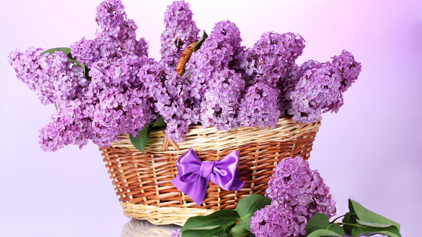 gandex.ru-13546_7dc799f3c44d159dd43219d68dd7d8f9.jpg