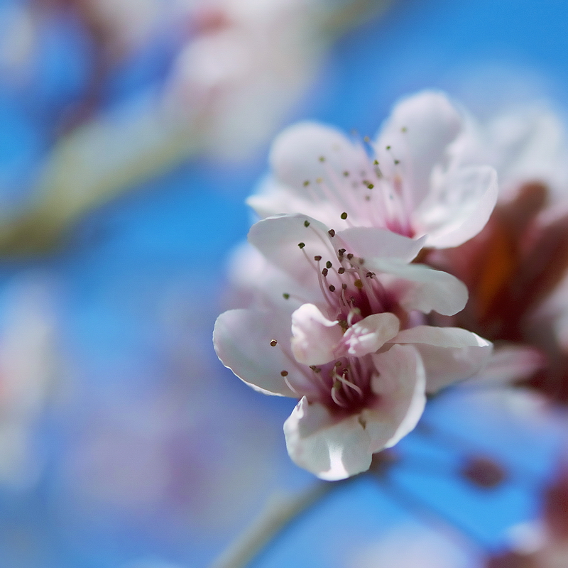 20110228_eb89281b8da4fa6e2ccfh674Z33BE27A.jpg