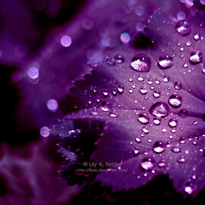 20090617_3cd8a561ad07a8b5bf9b8jTZFfx8lqQe.jpg