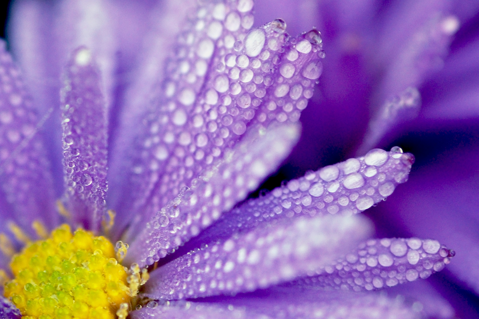 20090617_e386afe2b22e53dac5e1sko877d7ZKT7.jpg