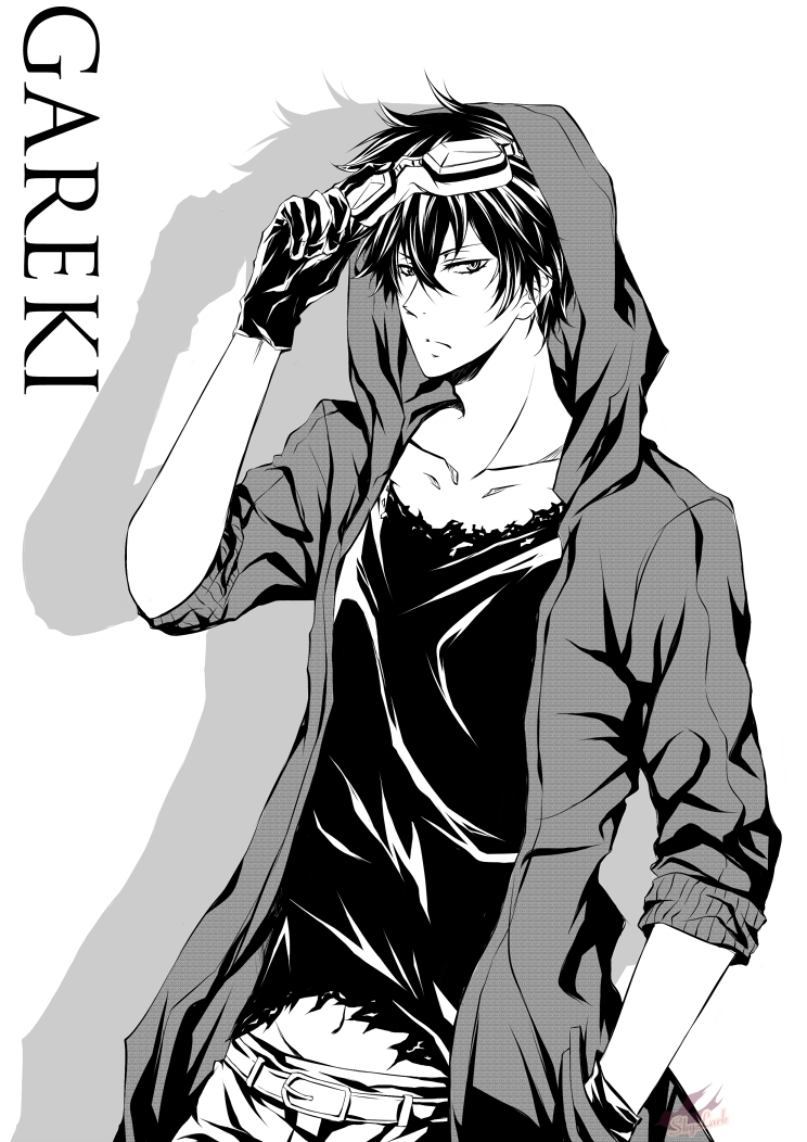 Gareki.full.1481927.jpg