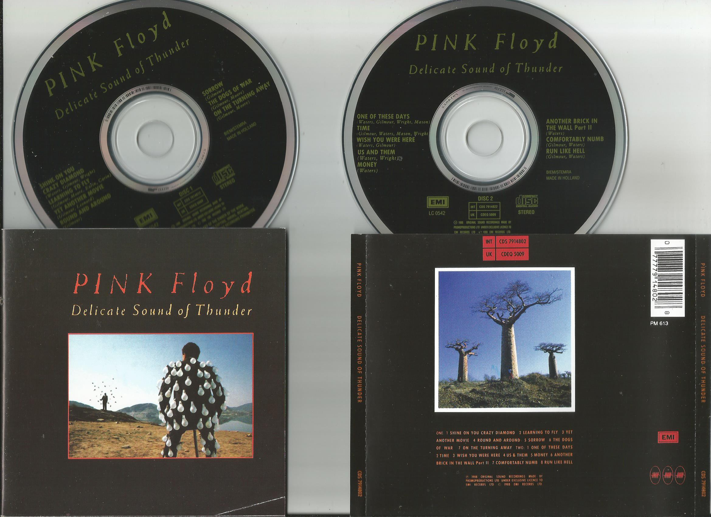 cd pink floyd delicate sound of thunder
