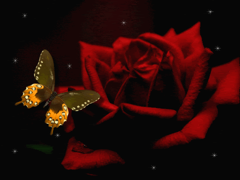 Sparkle-Red-Rose.gif