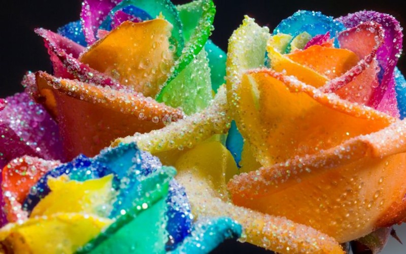 rainbow-flowers22.jpg