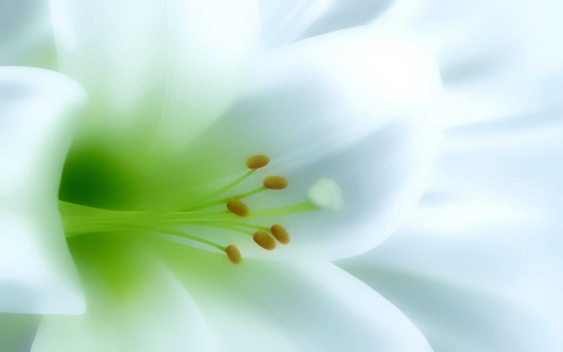 nature-wallpapers-light-desktop-fresh.jpg