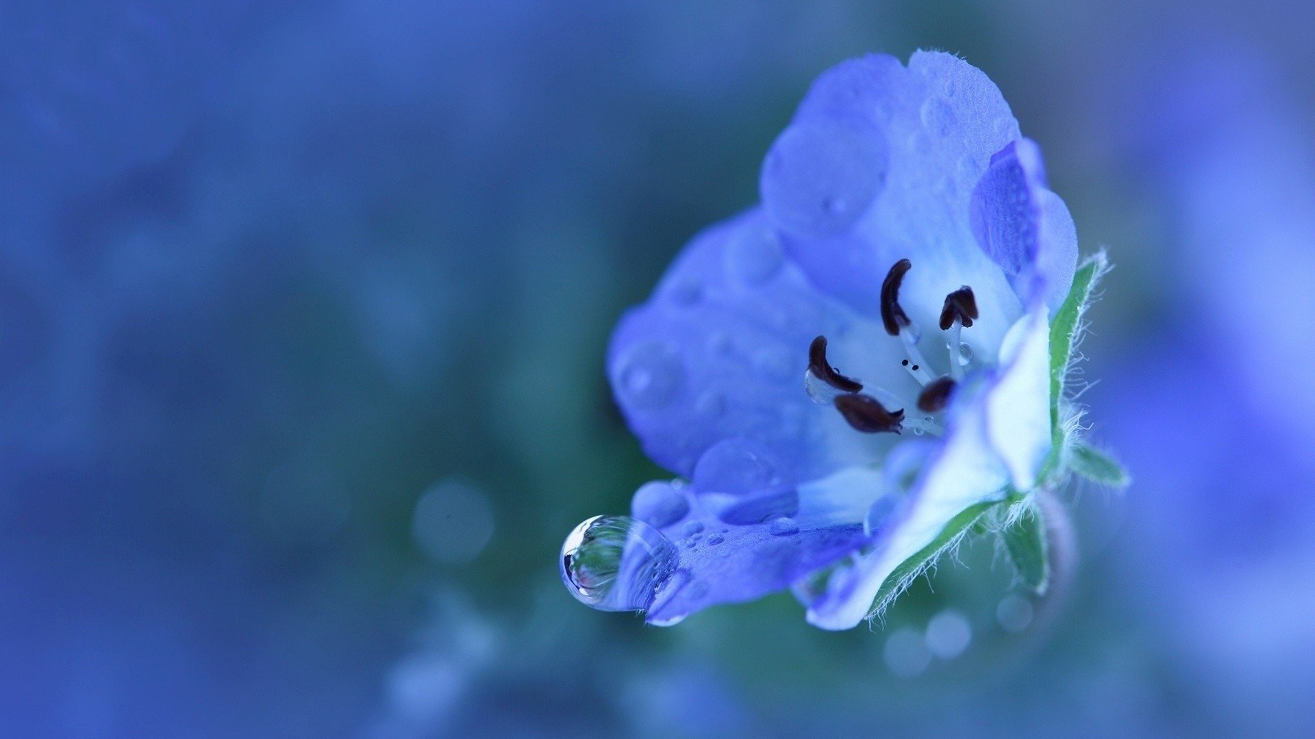 90422-nature.jpg